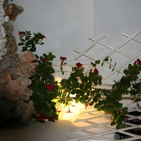 Appartement Pantheon Deluxe