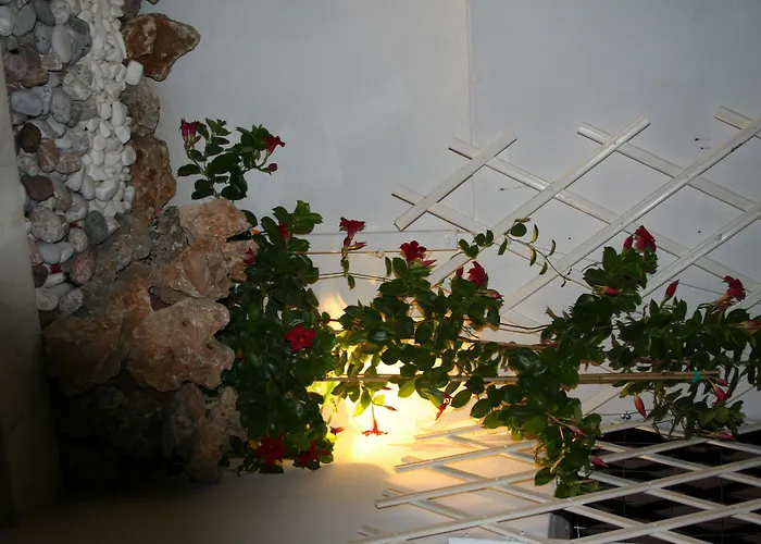 Lejlighed Pantheon Deluxe