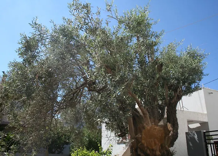 Lejlighed Pantheon Deluxe Archangelos (Rhodes)