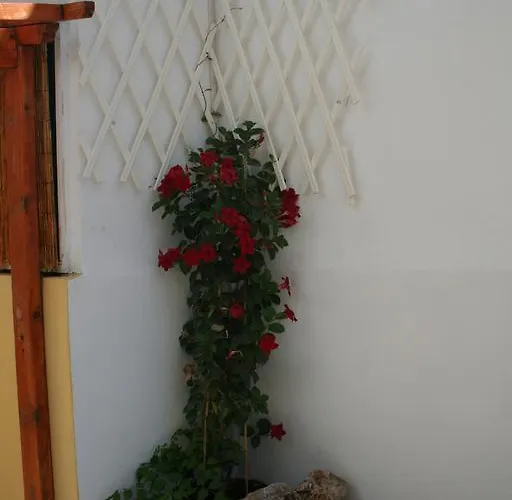 Lejlighed Pantheon Deluxe *